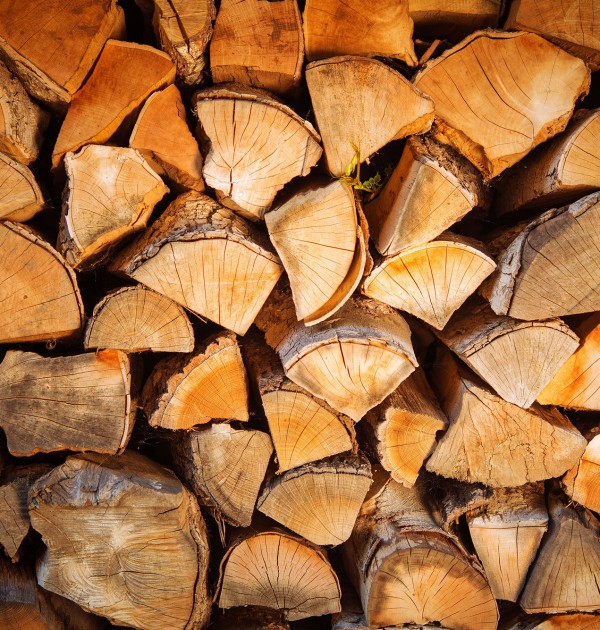 shutterstock_287714390_2000px